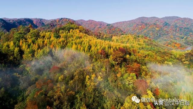 秋色浓度超标！汉中这座小城值得奔赴！