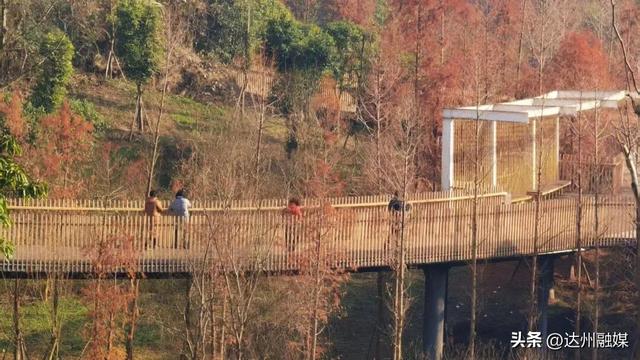 周末带娃去哪儿？达州这个地方带你邂逅自然诗意