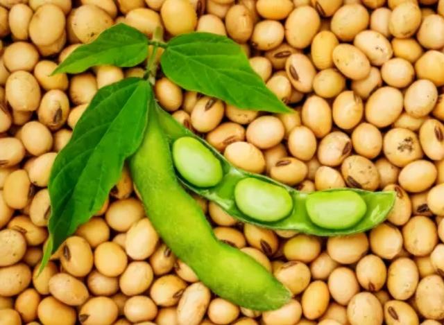 趁火打劫！巴西大豆对华猛涨价，买家集体暂停订单，静待2个时机