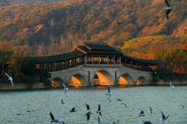 免费！无锡“巨无霸”公园火了