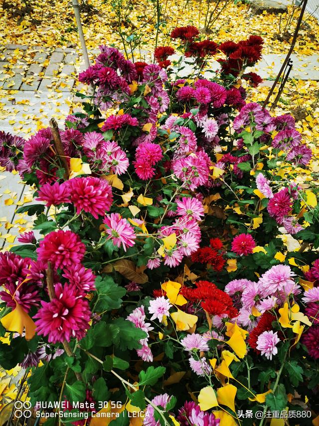 据我实际体验，冬天不宜自驾游