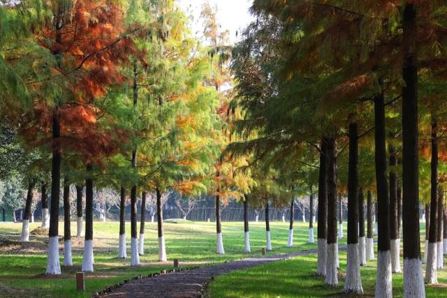 “你怎么知道王嘉尔来我家门口啦？”