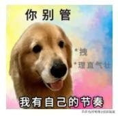 这4种你以为的缺点，其实是智商高的表现！