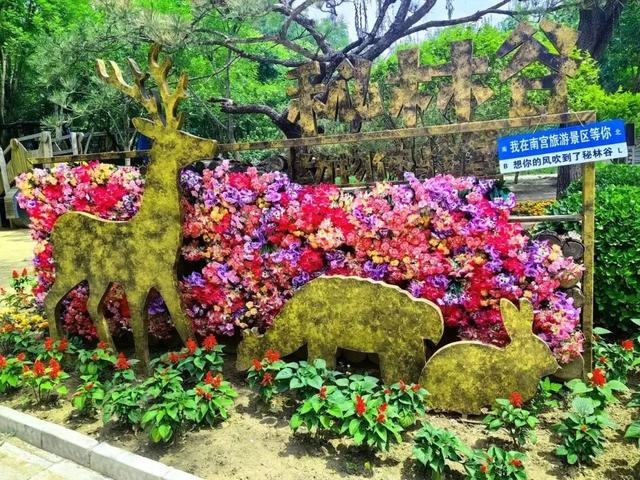 这个暑假，丰台“游”点“不一样”（自然游乐篇）