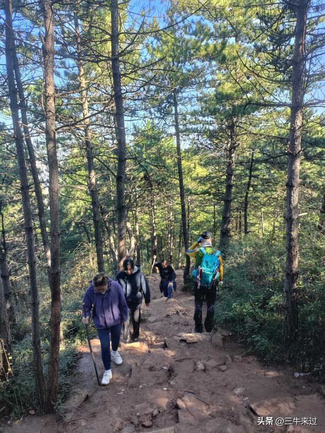 无为在歧路，壶关林州大名府5