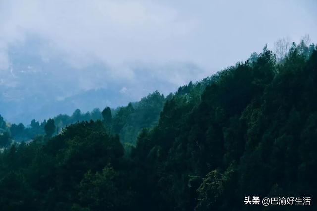 重庆綦江袖珍小镇：近主城、似“空调”，避暑人比全镇人还多！
