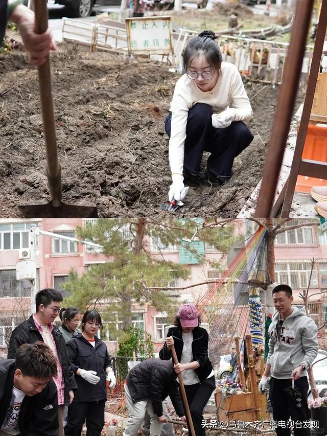 为什么，他们要回到新疆？