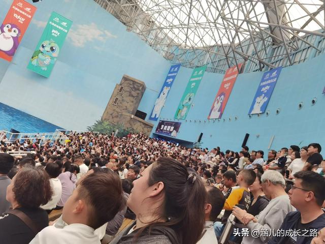 最新天津极地海洋馆一日游攻略——亲测实用!所有演出都可看完!