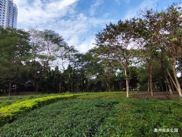 岭南日记（四）