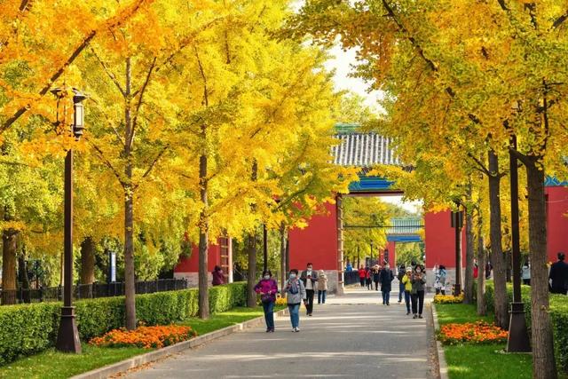 十月文学月 | “北京范儿”文学地标推荐，快来打卡文学中的北京！