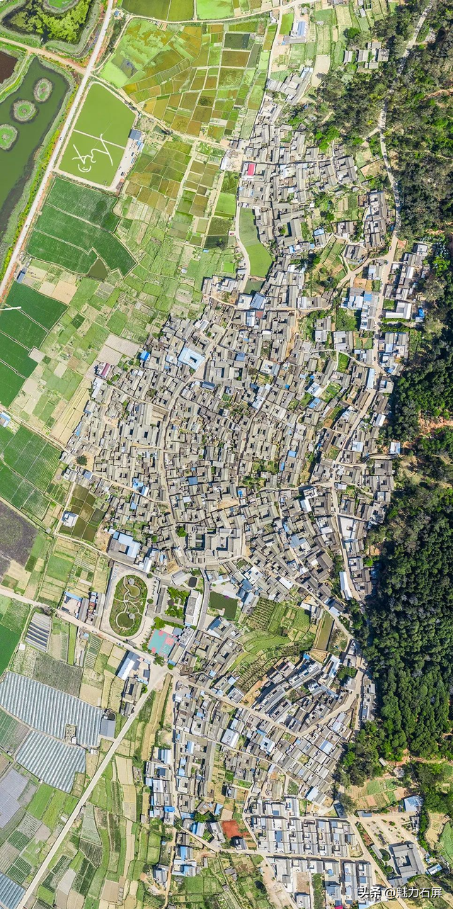 不等春风 石屏宝秀限量配色已上线