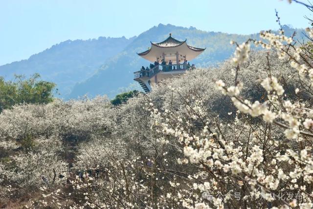 从化最美旅游公路慢行指南！六大入口，一键解锁“流溪烟渚”秋日浪漫