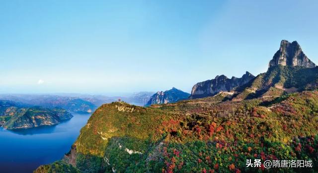 错过再等一年!洛阳红叶加载量进入倒计时!