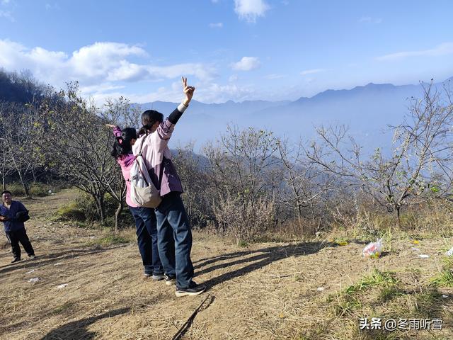 又见山山红叶飞