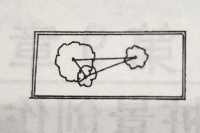 丛林盆景制作技巧｜把“微型森林”搬回家，丛林盆景这么做超简单