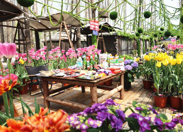 临沂春假旅行指南，请查收