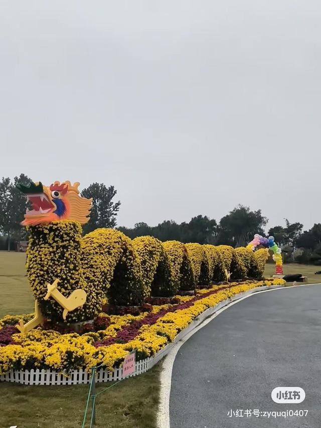 重阳节，在临沂这样过——9.9元景区特惠、赏菊、登高、祈福……