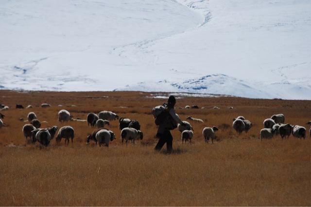 佩枯措：西藏最静的一滴泪，见证沧海桑田的万年湖镜