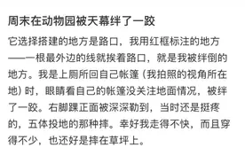 上海最新确认：全市层面暂不考虑禁止！公园里密密麻麻全都是，市民投诉被割伤…“两室两厅”还能搭吗？图片