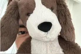 赵丽颖和林更新在一起的概率？这才是我认为最对的分析！概率很大图片