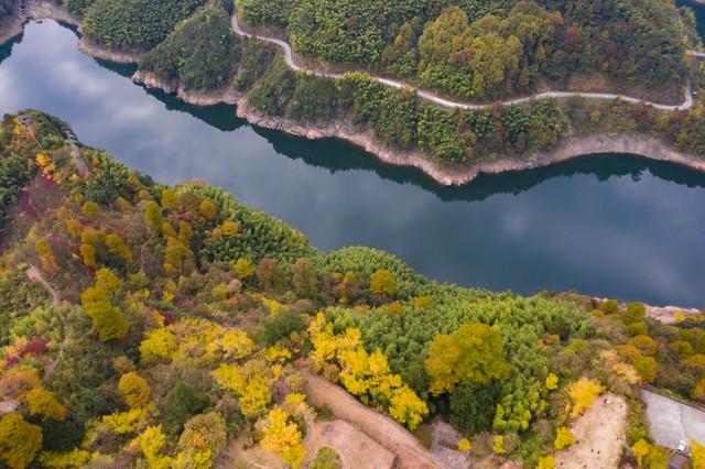 浙江深秋封神路线！红叶、银杏、古寺藏禅，承包江南最绝秋景！