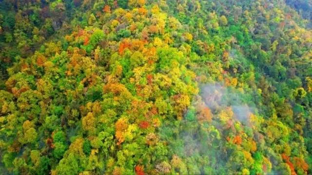 雨过天晴，青峰峡藏着一整个秋天的惊艳！