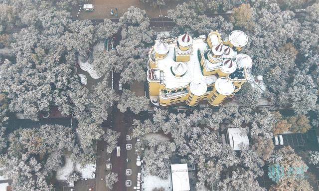 秋色未退雪已至，哈尔滨太阳岛上演“金秋白雪”奇观