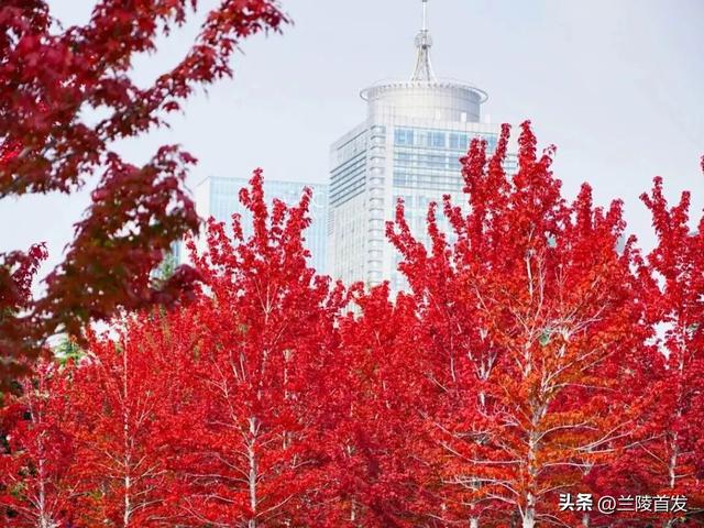 好客山东好品山东| 临沂的秋天，这10处绝美打卡地别错过！先收藏慢慢逛~