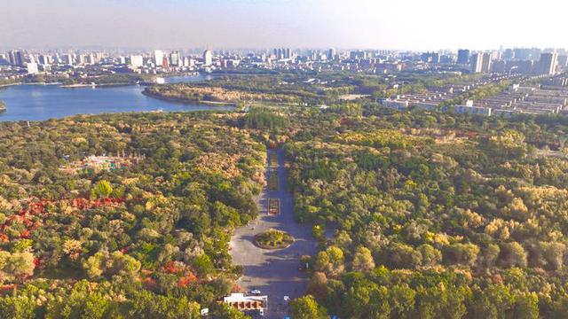 秋之彩色吉林 | 长春南湖公园：满园秋色关不住