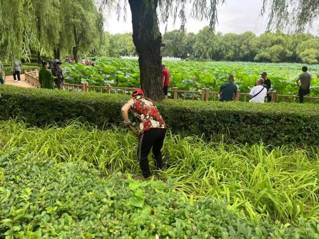 上新！上新！就在长春这些公园