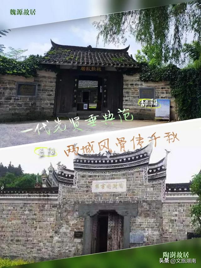 赛场外,两个“阳哥”各有乾坤