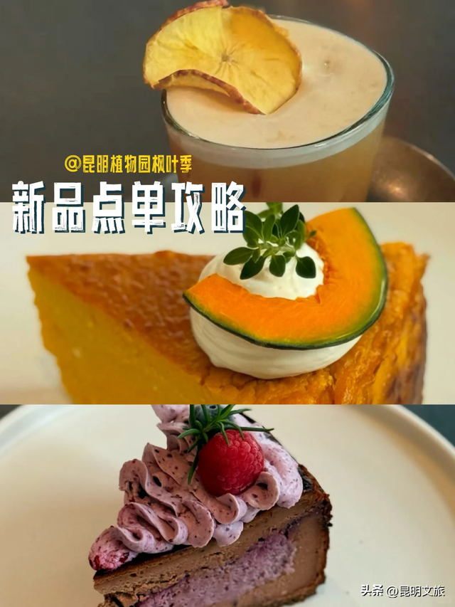 初冬出片C位！昆明这个地方必须榜上有名，周末抓紧冲~