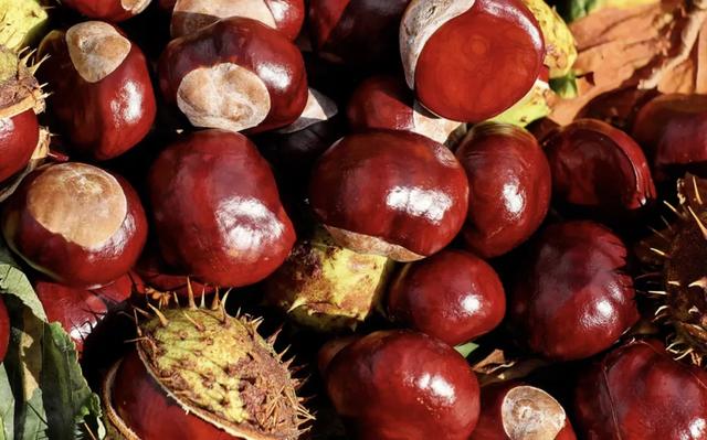 花胶西洋参鸡 2025年花胶西洋参鸡汤