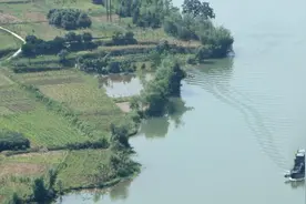 兄弟姐妹结仇以后，读一读王维的三首诗，就通透了图片