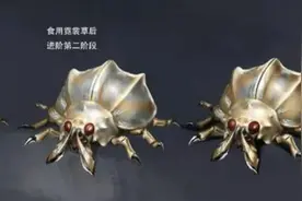 《凡人修仙传》中韩立的灵宠哪个实力最强？图片