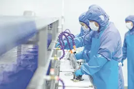 高端媒体看邯郸丨太行山深处“长”出了鱼子酱图片