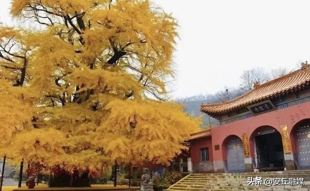 平步青云的潍坊安丘天路