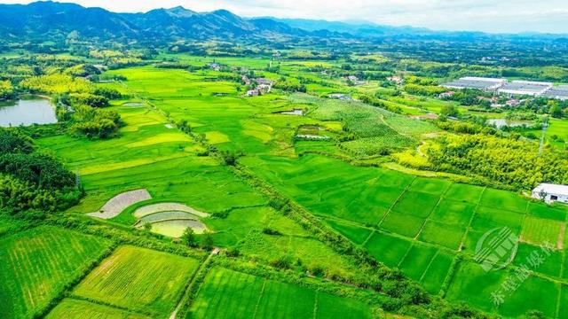 湖北赤壁：蓝天白云映绿野 碧水金稻漫山岗