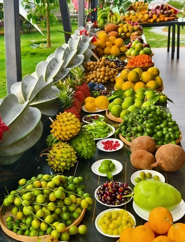 琼海元旦“嗨玩指南”来啦！