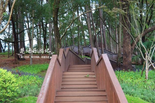 宁波海曙新打造了一个松林公园，小巧清幽却很适合休闲，值得一游