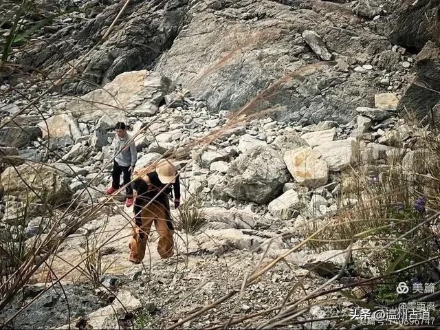 秋风起，浙江这条绝美海岛风光徒步穿越线路，可以安排了！