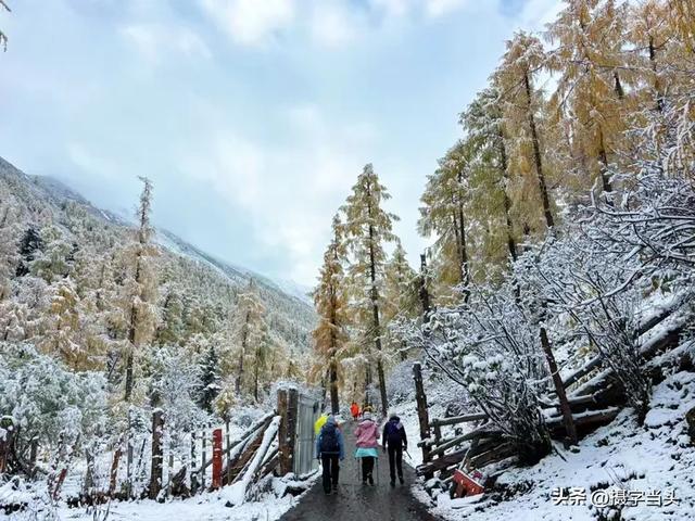 甲依拉措 :一场白雪与彩林的盛宴