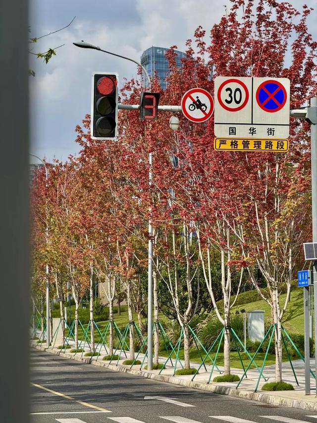 今日大雪 | 打卡这里,定格冬日专属美照