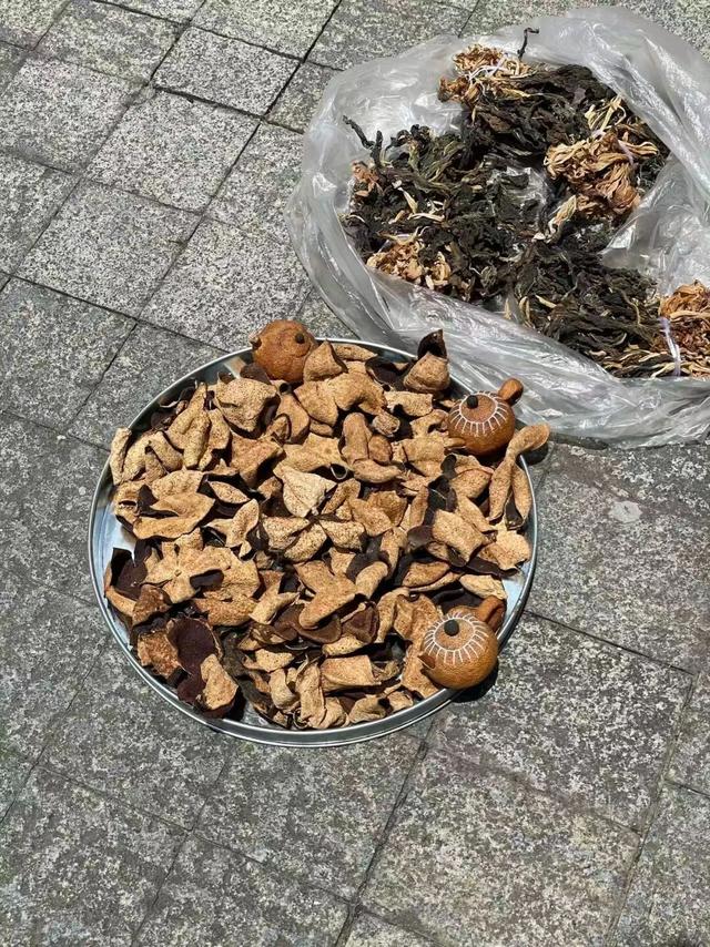 93公里到新会：一片陈皮，一场海战，读懂岭南秋