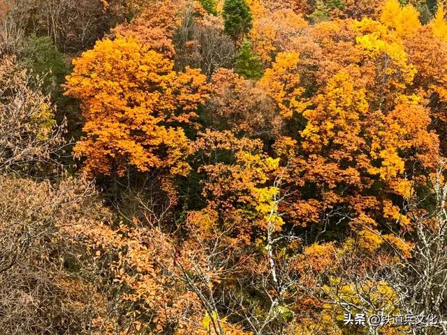 车过神农架【原创】作者：原铁十师陶玉和