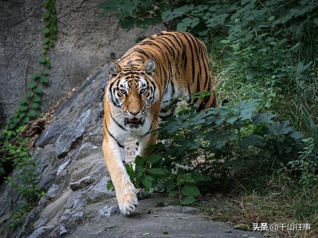 枣庄大官庄藏着千年大瓜：皇姑坟竟是采石场？薛国历史太颠覆！