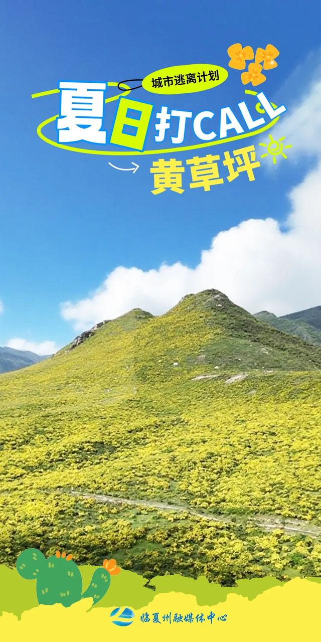 海报｜夏日，奔赴那片黄草坪