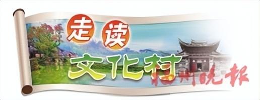 连江朱公村：“朱莲碧荷”迸发新活力