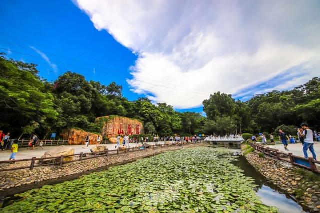 活力宝安城区指南｜山海蓝绿瞬间：山水连城，绿动宝安！