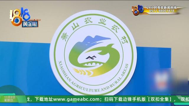 怎么又是这？她还拿出视频，里面“一动不动”，停了几只苍蝇....